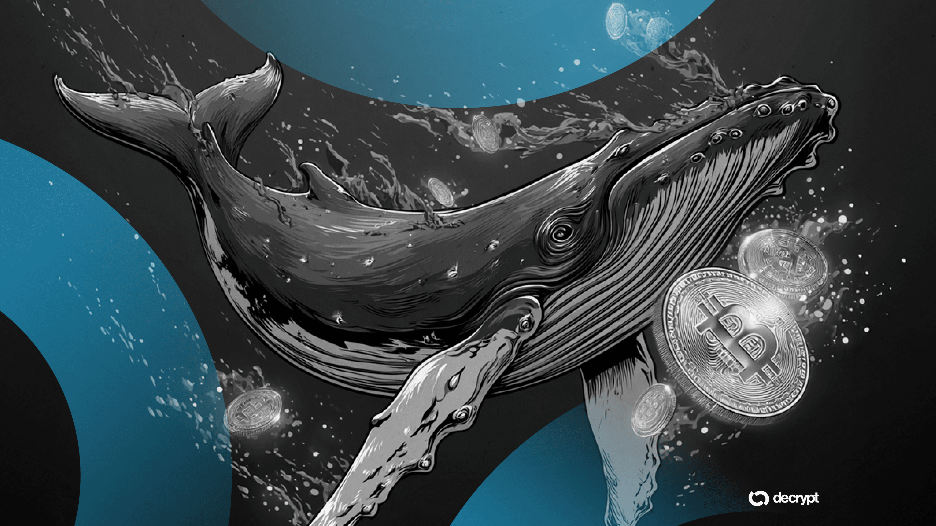 Crypto Whales Accumulate as Retail Pulls Back