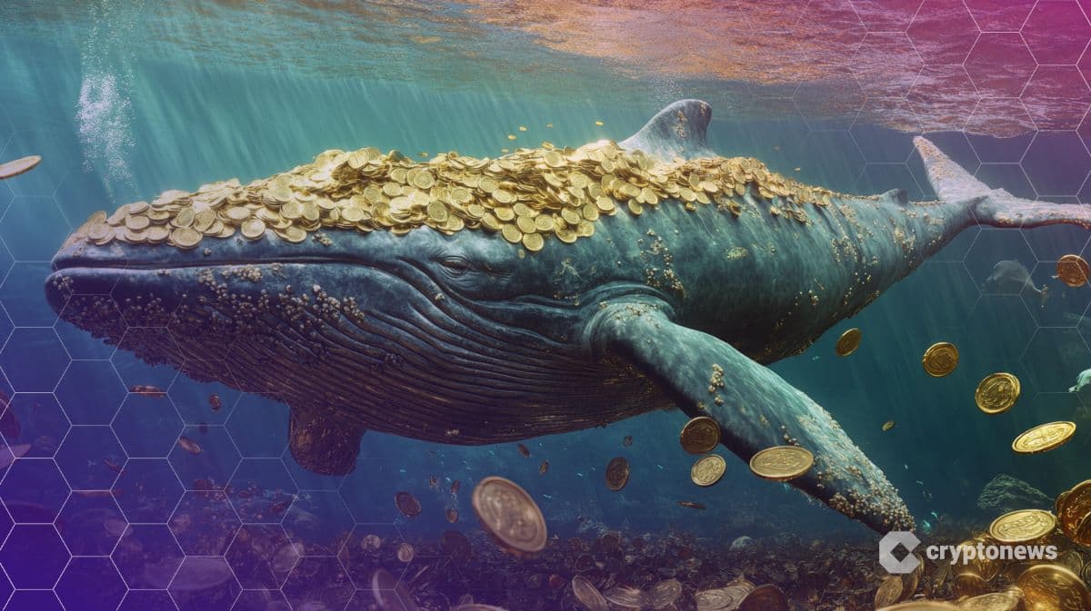 Менеджер по активам SkyBridge готовится к чоппи-рынкам и верит в биткоин